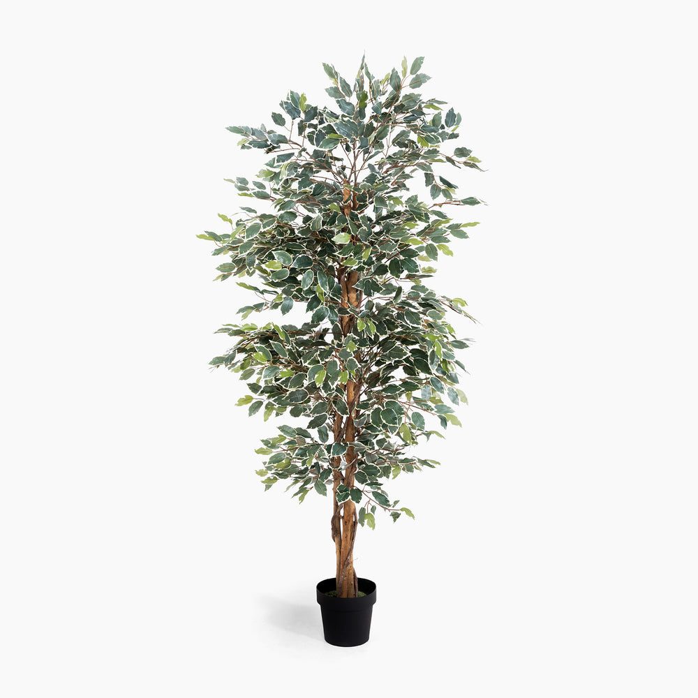 Artificial potted tree with green leaves on a white background