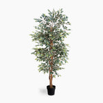 Artificial potted tree with green leaves on a white background