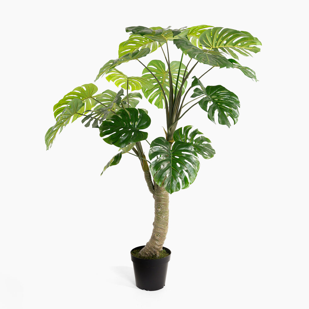 Potted artificial monstera plant on a white background