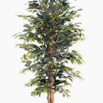 Artificial ficus tree with green leaves on a white background
