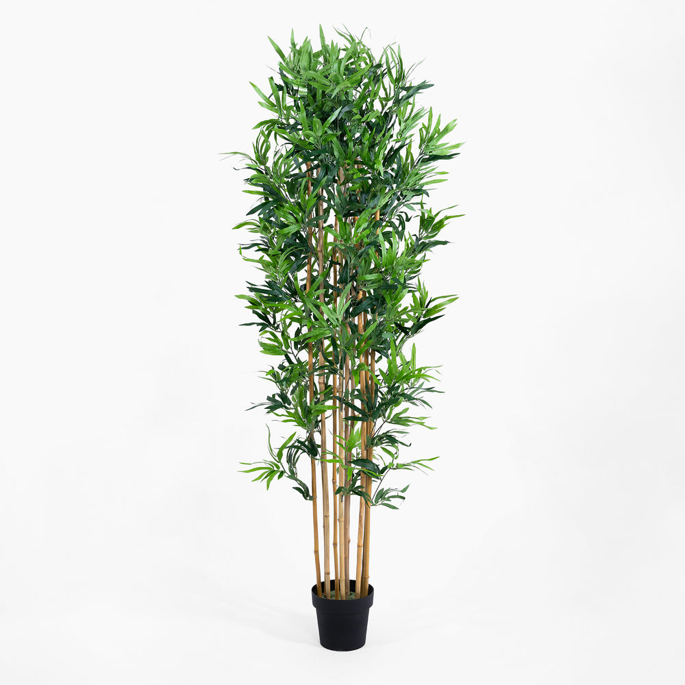 Artificial bamboo plant in a pot on a white background