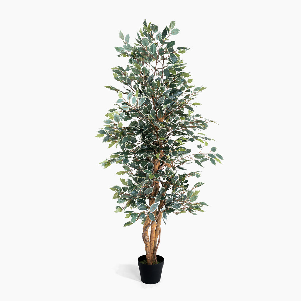 Artificial potted plant with green leaves on a white background