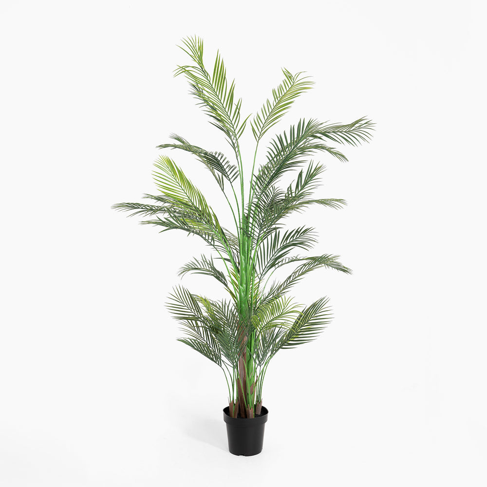 Potted artificial palm plant on a white background