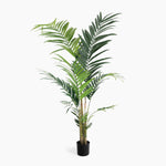 Potted artificial palm plant on a white background