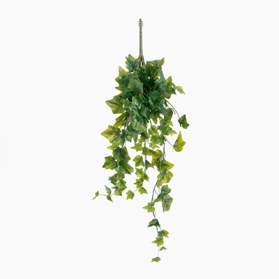 Artificial hanging ivy plant on a white background