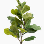 Artificial fiddle leaf fig plant on a white background