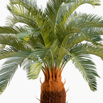 Artificial potted palm tree with green leaves on a white background