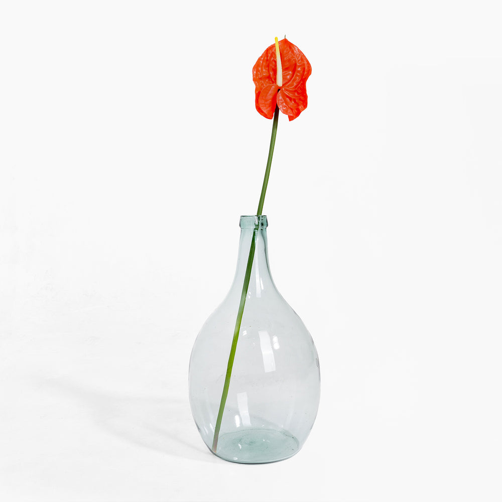 Clear glass vase with a single orange flower on a white background