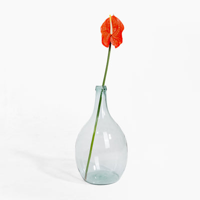 Clear glass vase with a single orange flower on a white background