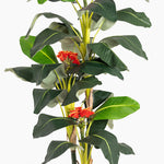 Artificial plant with green leaves and red flowers on a white background