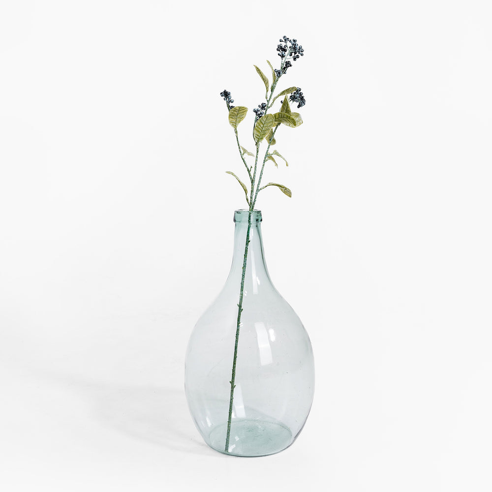 Clear glass vase with a single stem of flowers on a white background