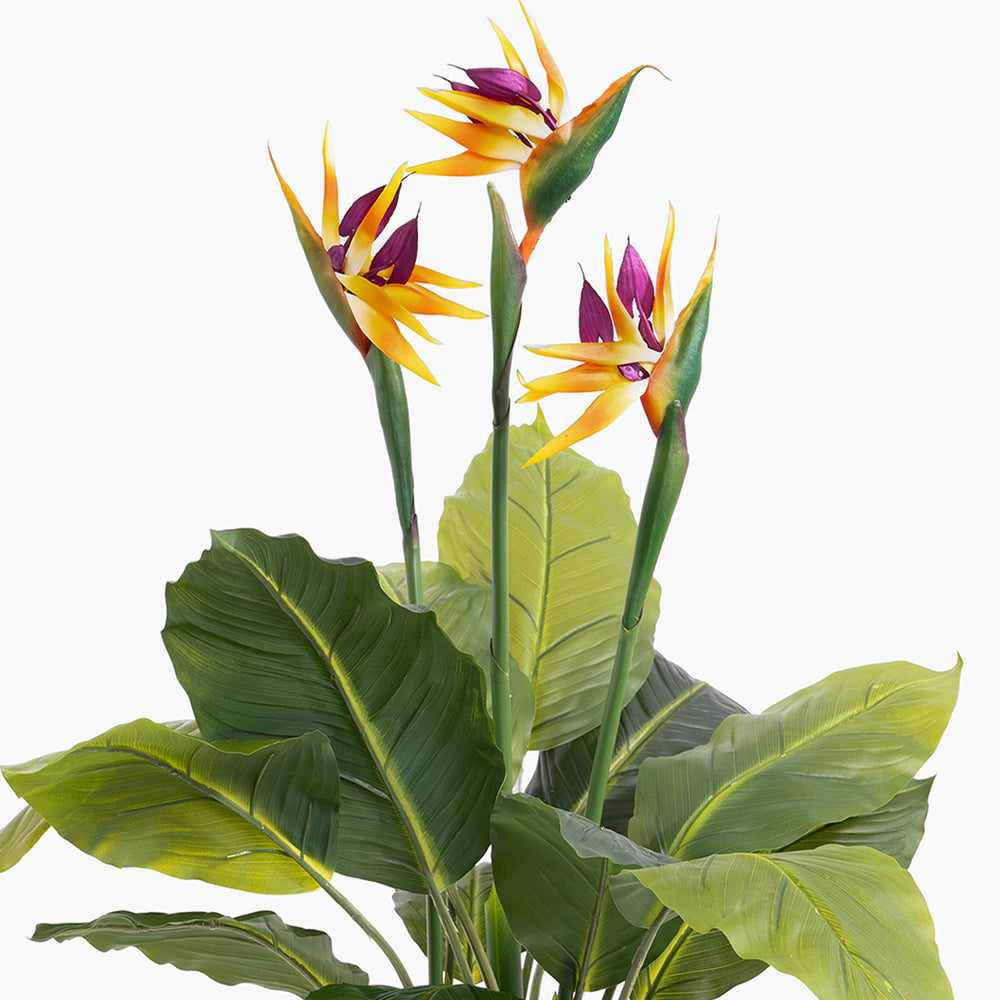 Artificial bird of paradise plant with vibrant flowers on a white background