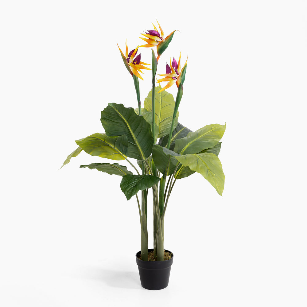 Artificial potted plant with green leaves and colorful flowers on a white background