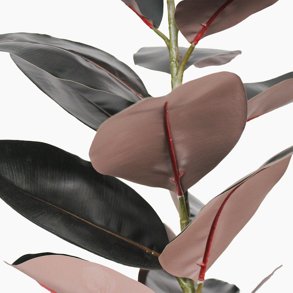 Artificial black rubber tree leaf undersides