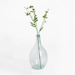 Clear glass vase with greenery on a white background