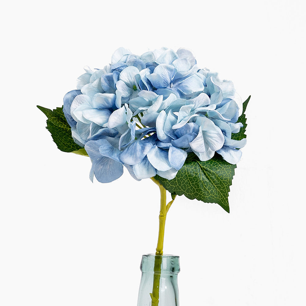 Blue hydrangea flower arrangement in a clear glass vase on a white background