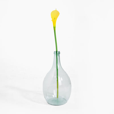Clear glass vase with a single yellow flower on a white background