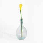 Clear glass vase with a single yellow flower on a white background