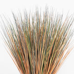 Close-up of dried grass with brown and green hues on a white background
