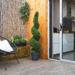 Potted spiral topiary on a wooden deck with a view into a kitchen.