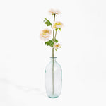 Clear glass vase with a single stem of flowers on a white background