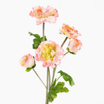 Pink and yellow flowers with green leaves on a white background