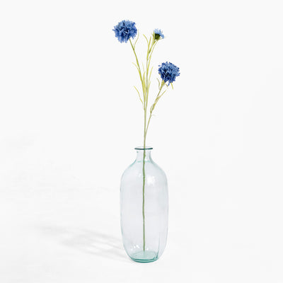 Clear glass vase with blue flowers on a white background