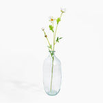 Clear glass vase with a single white flower on a white background