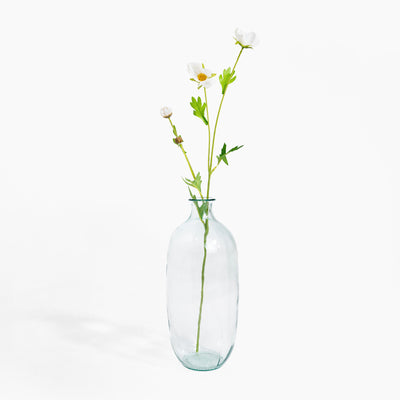 Clear glass vase with a single white flower on a white background