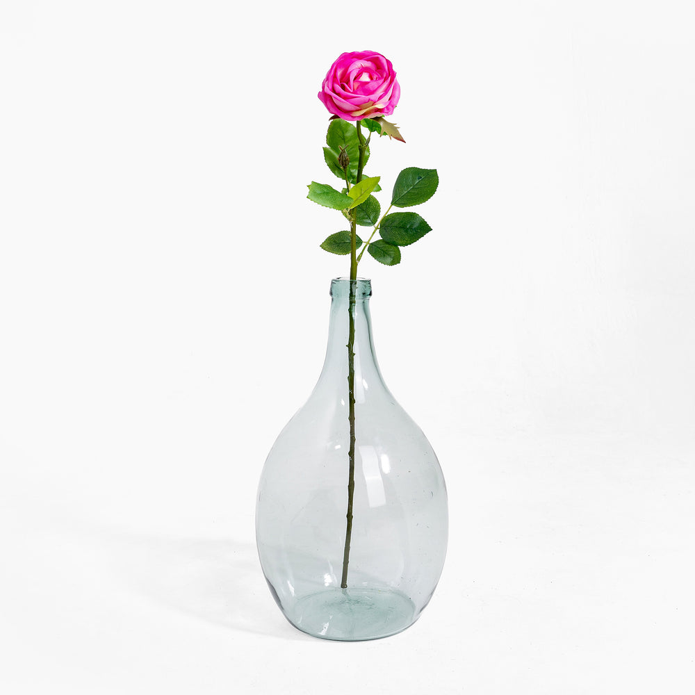 Clear glass vase with a pink rose on a white background