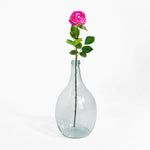 Clear glass vase with a pink rose on a white background