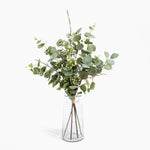 Bouquet of eucalyptus in a clear glass vase on a white background