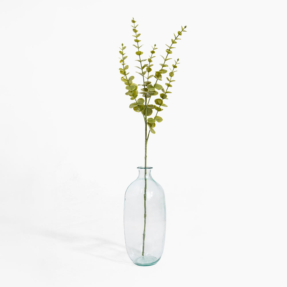 Clear glass vase with a single green branch on a white background