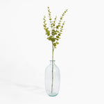 Clear glass vase with a single green branch on a white background