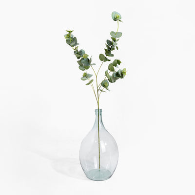 Clear glass vase with eucalyptus branches on a white background