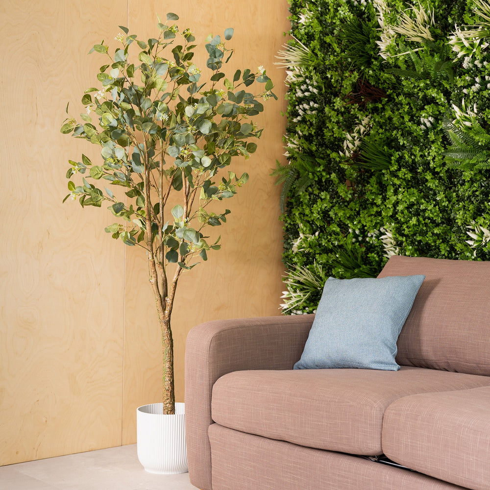 Brown sofa with a blue pillow in a room with a beige wall and green plants.