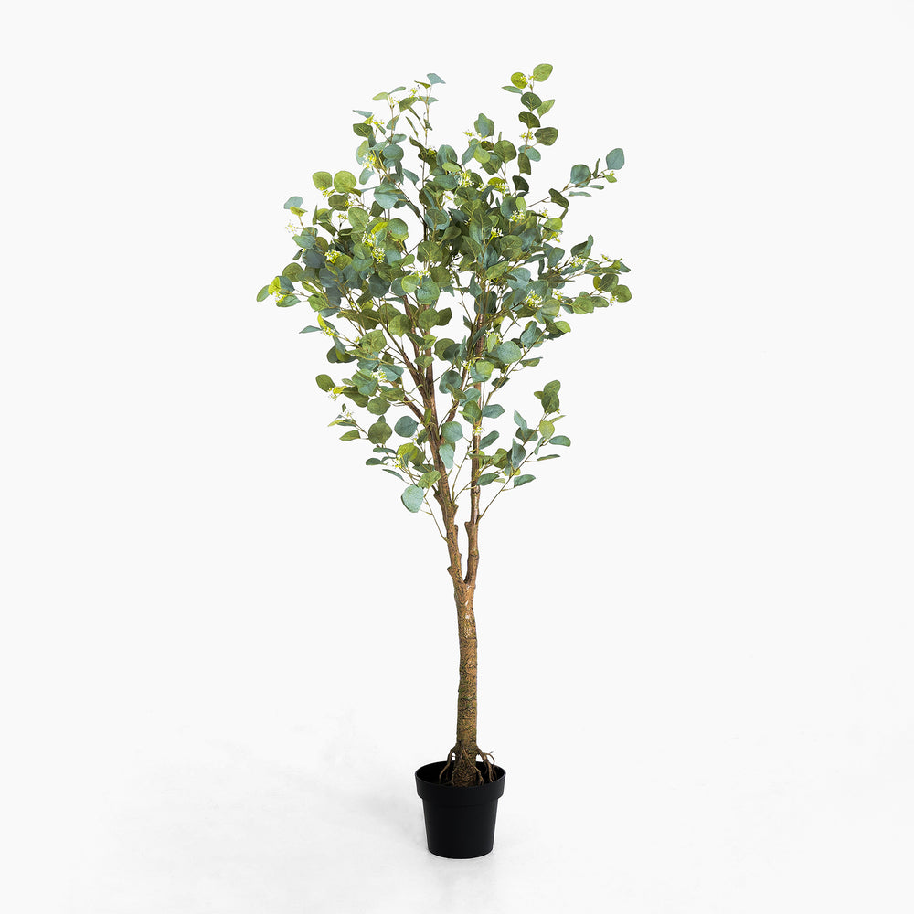 Potted artificial eucalyptus tree on a white background