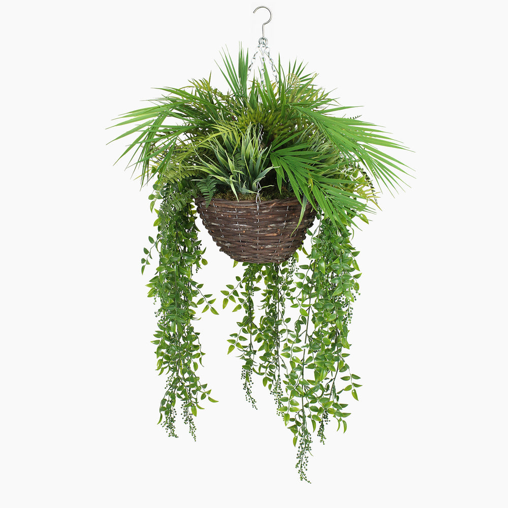 Hanging basket with green plants on a white background