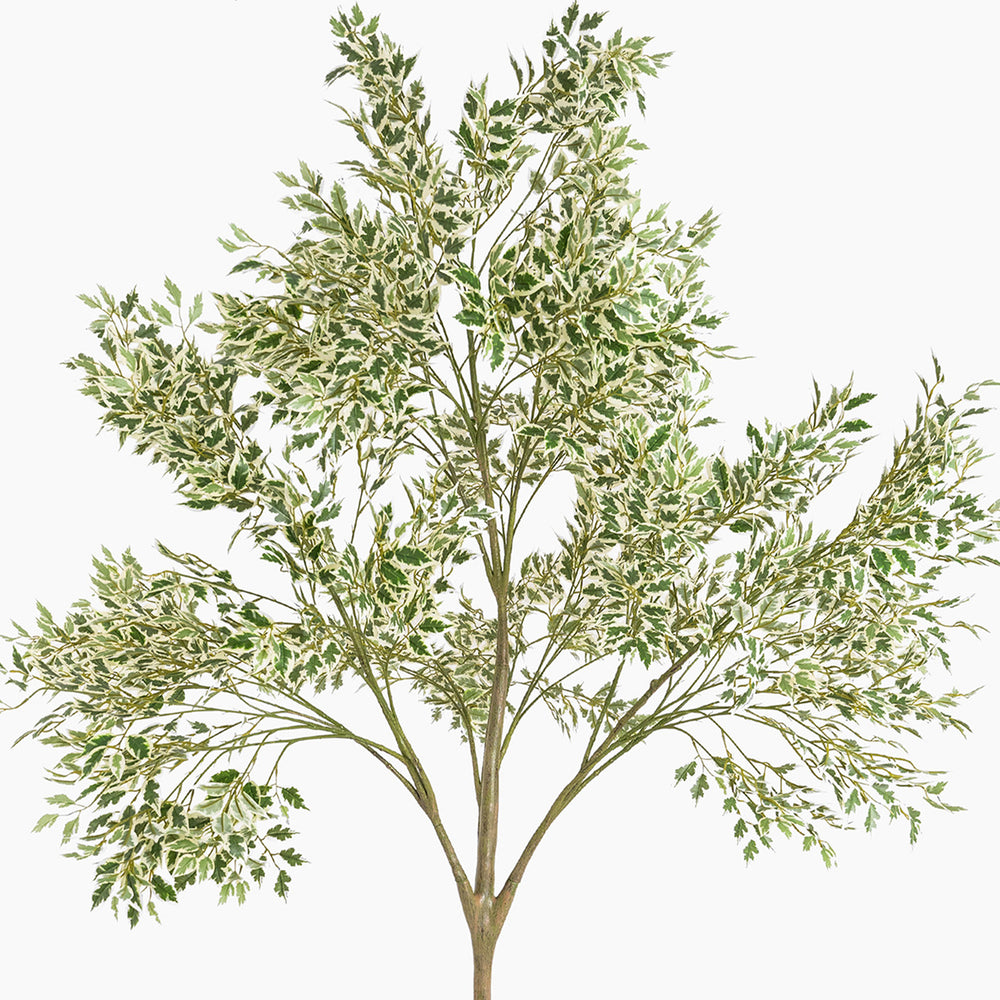 Artificial ficus anastasia foliage