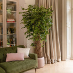 Living room with green sofa, potted plant, and large windows.