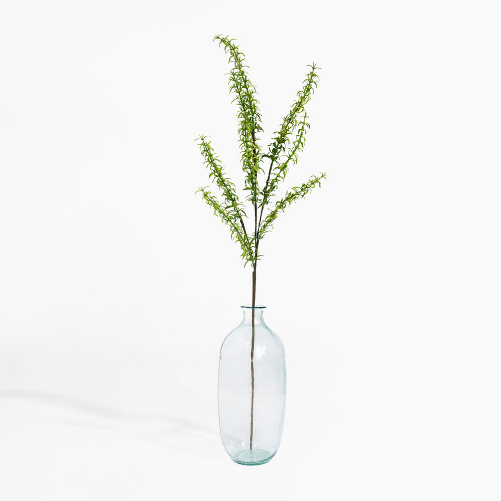 Clear glass vase with green branches on a white background