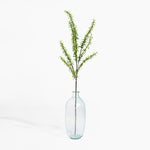 Clear glass vase with green branches on a white background