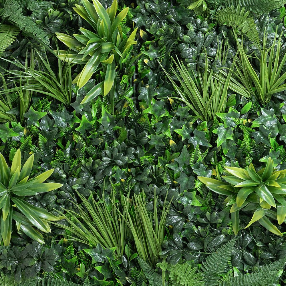 Various types of green plants arranged in a pattern