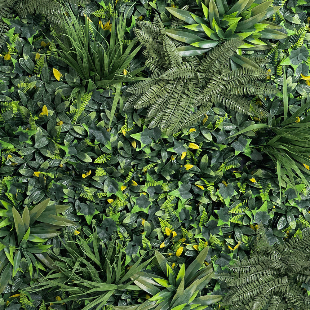 Dense green foliage with various plants and ferns