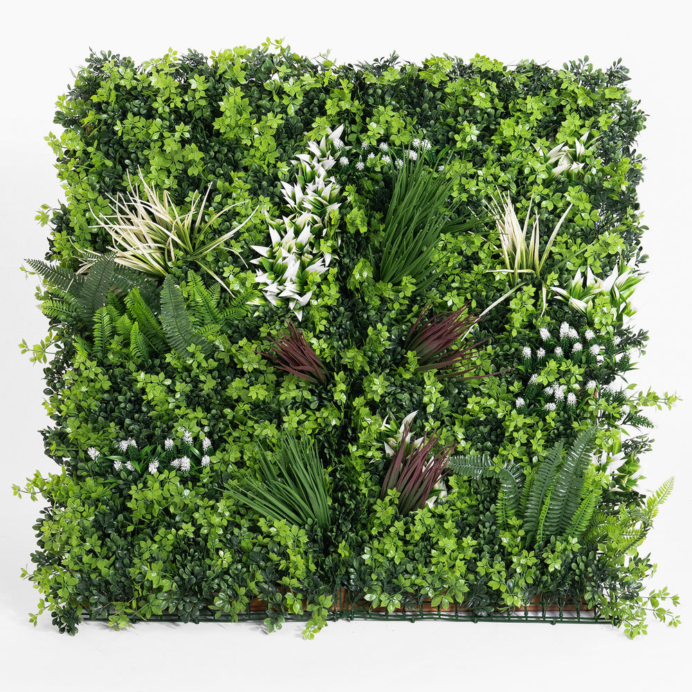 Square arrangement of various green plants on a white background