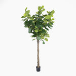 Artificial potted tree with green leaves on a white background