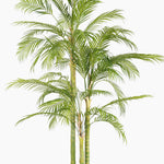 Artificial golden cane palm