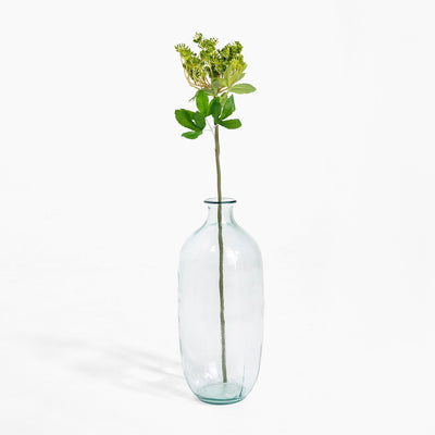 Clear glass vase with a single green stem on a white background
