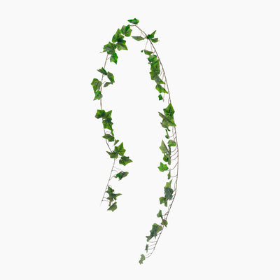 Artificial ivy vine on a white background