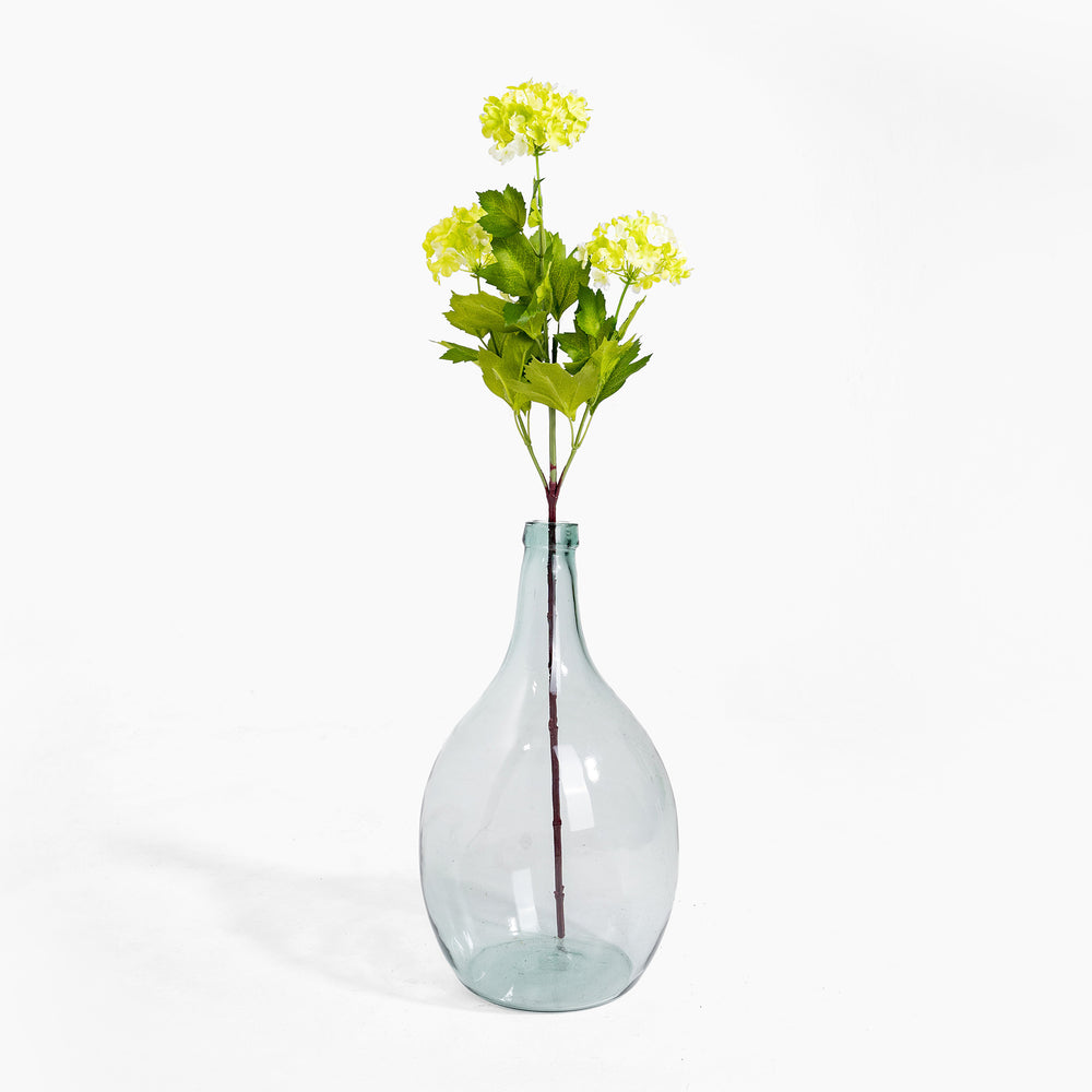 Clear glass vase with green plant on a white background